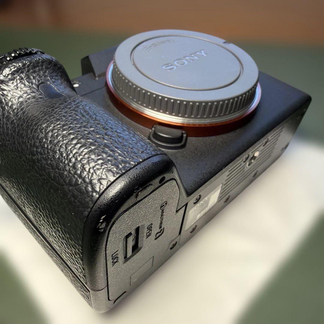 撮影枚数2854枚 SONY α7Ⅲ