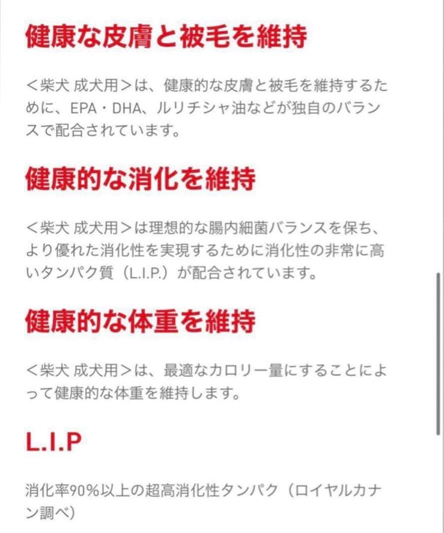 ロイヤルカナン　 CANIN 柴犬用 ドライフード 8kg