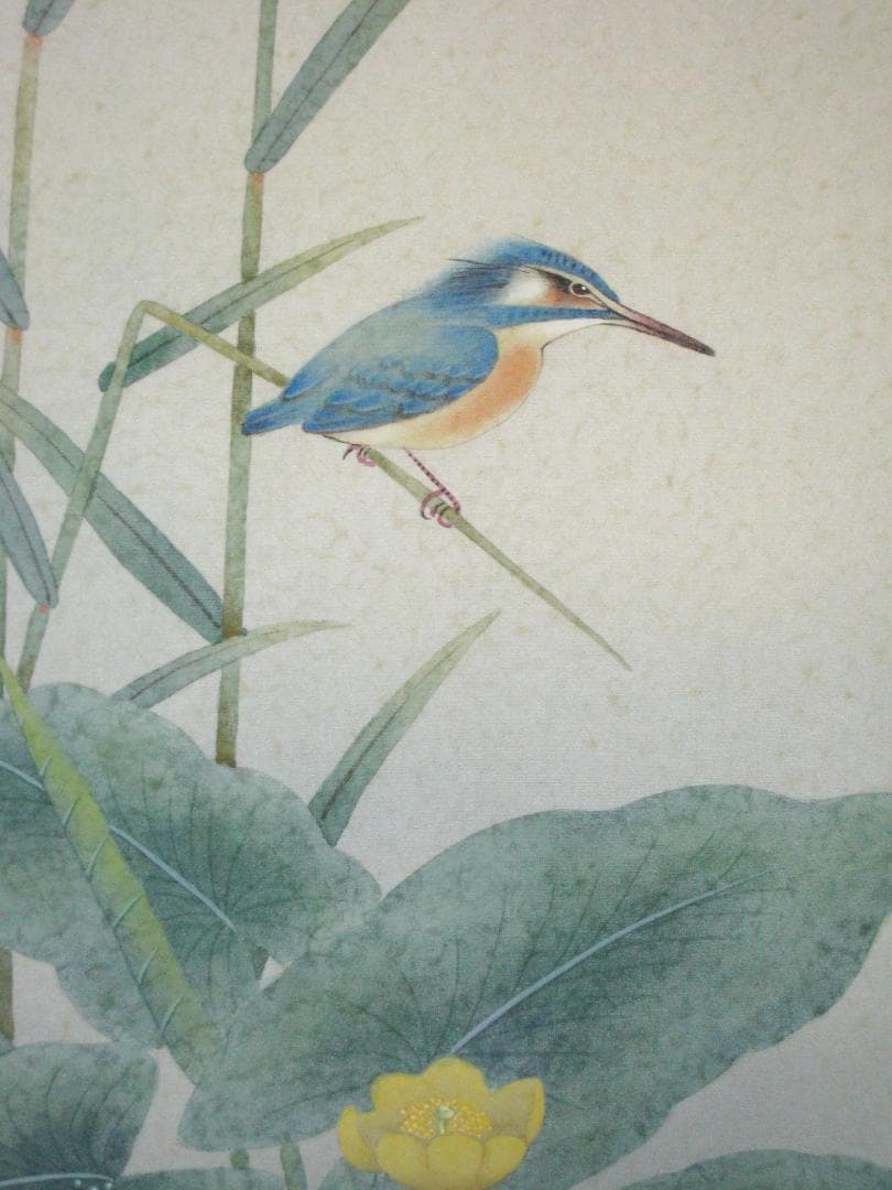 こ*り様 【真筆】掛け軸 掛軸　翡翠(かわせみ)◆柳沢寿江　太巻仕様・共箱・タト