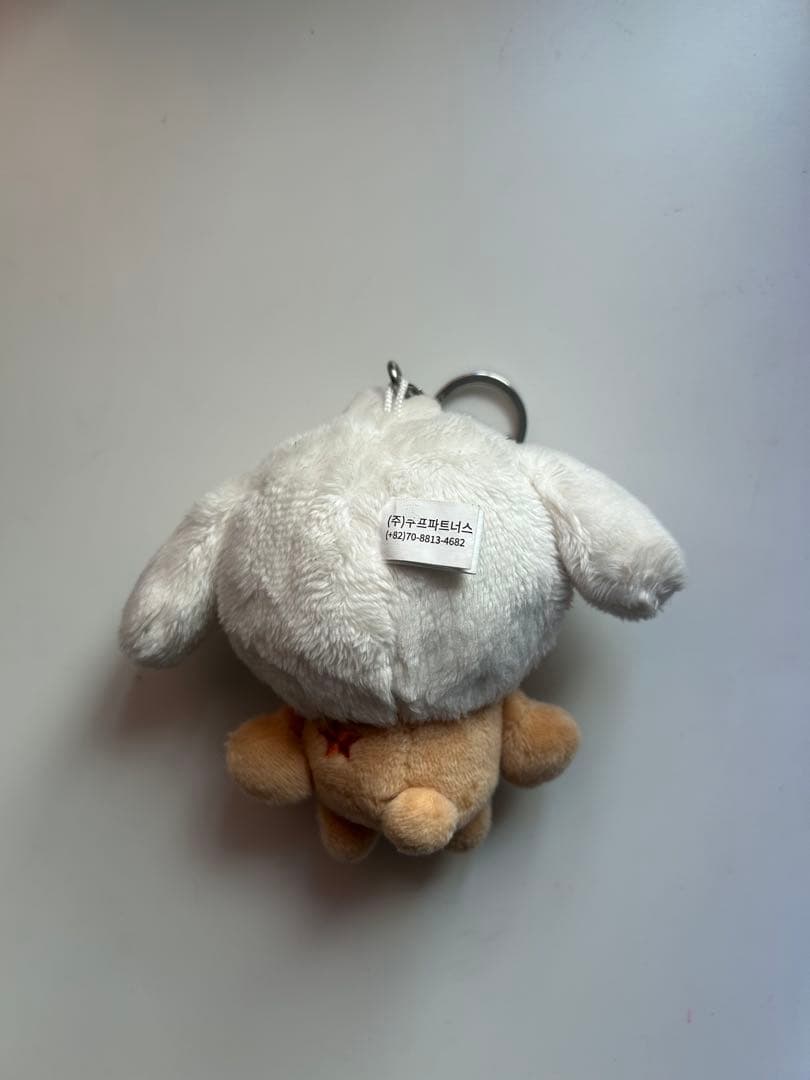 初期　バムグッ　プルバトゥ　外袋あり