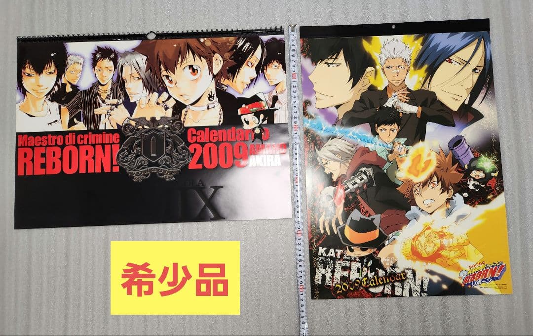 【希少品】家庭教師ヒットマンREBORN 2009年カレンダー