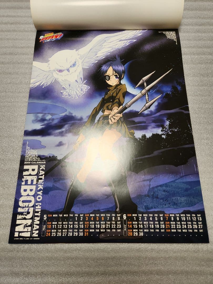 【希少品】家庭教師ヒットマンREBORN 2009年カレンダー
