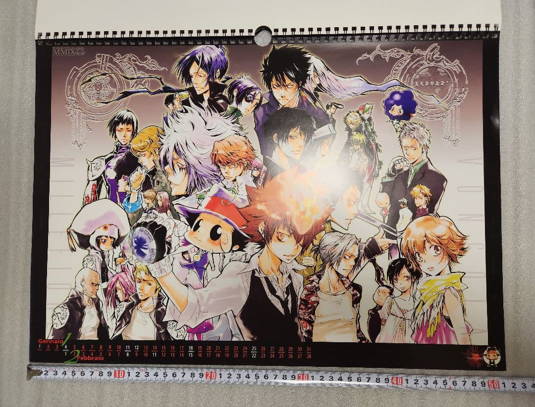 【希少品】家庭教師ヒットマンREBORN 2009年カレンダー