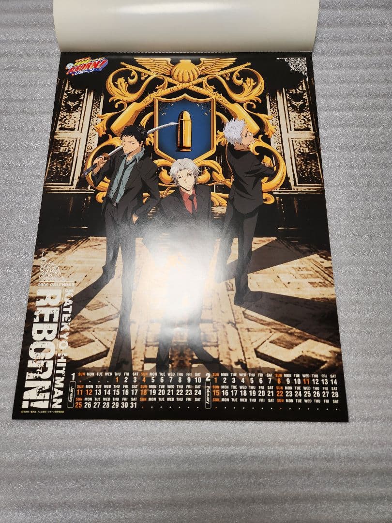 【希少品】家庭教師ヒットマンREBORN 2009年カレンダー