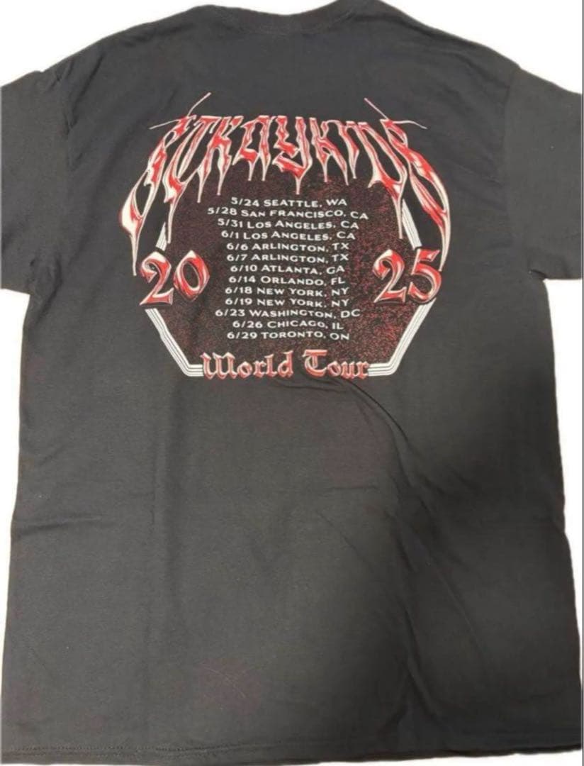 Stray Kids dominATE 北米グッズ メンバープリントTシャツM