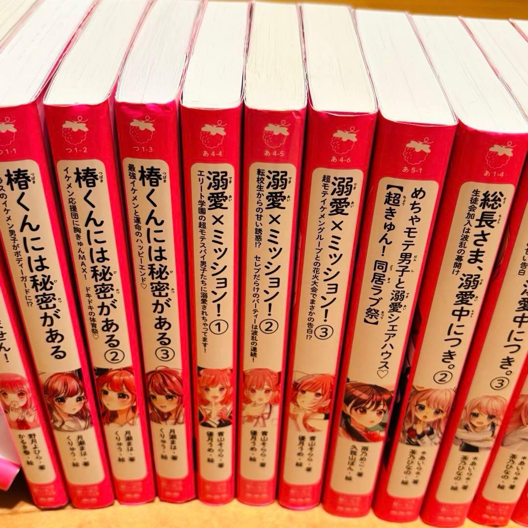 野いちごジュニア文庫⭐︎溺愛⭐︎総長さま⭐︎ふたごシリーズなど34冊セット‼︎