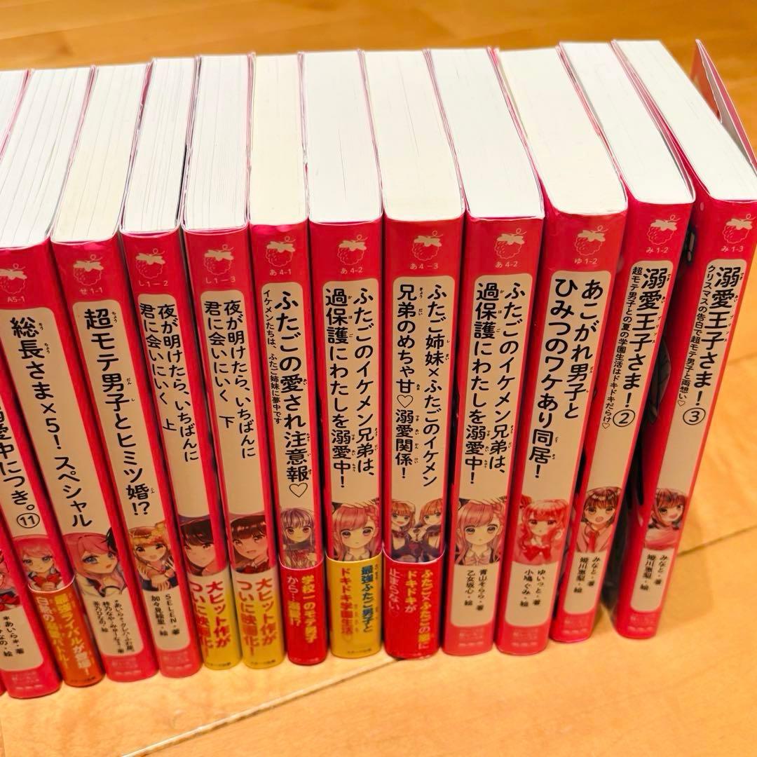野いちごジュニア文庫⭐︎溺愛⭐︎総長さま⭐︎ふたごシリーズなど34冊セット‼︎