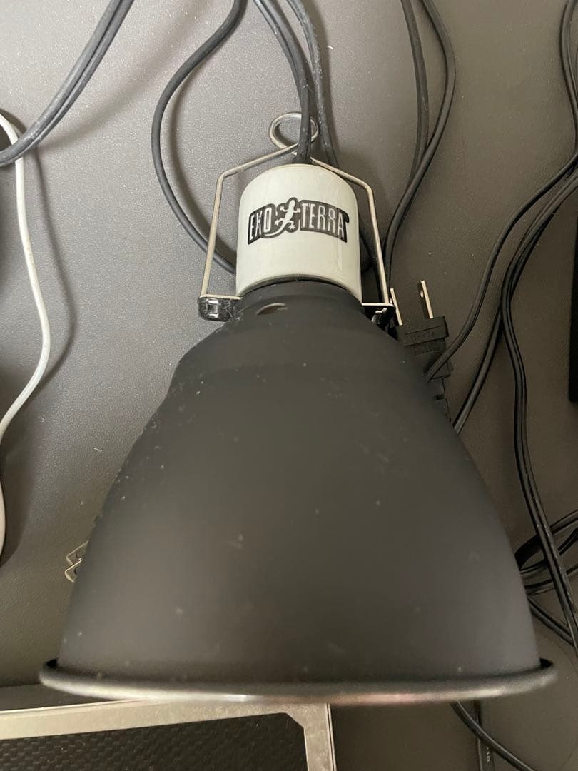 爬虫類飼育セット