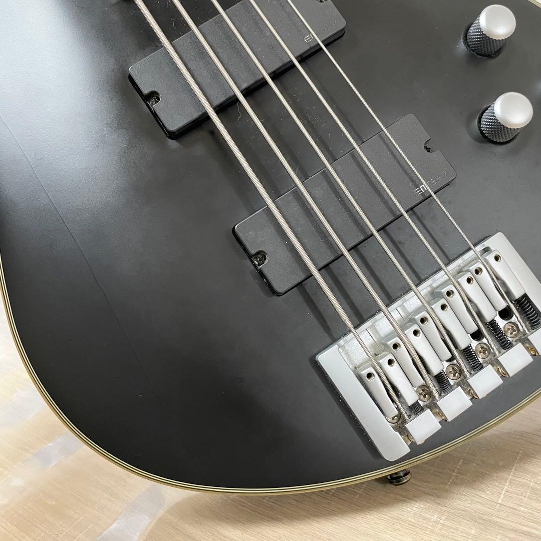 シェクター 5弦ベース DAMIEN PLATINUM-5 ブラック