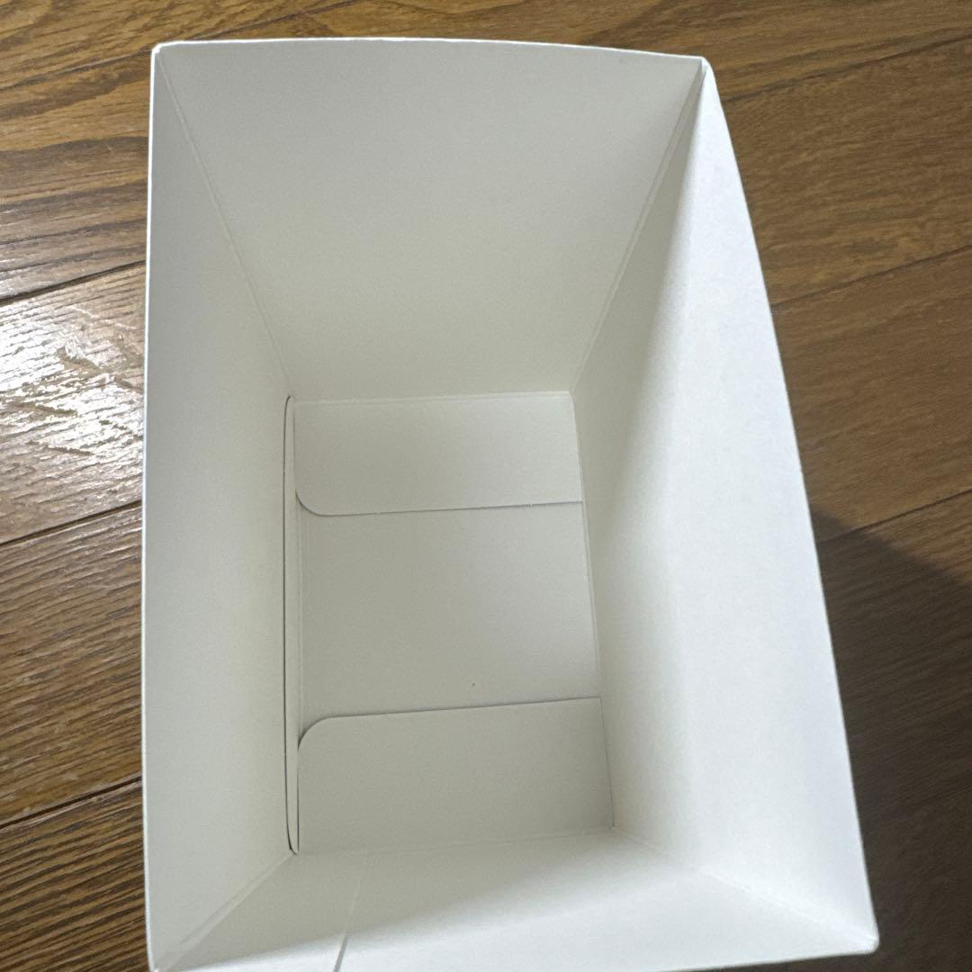 stray kids バンチャン GIANT 収納box fc盤 ソニミュ