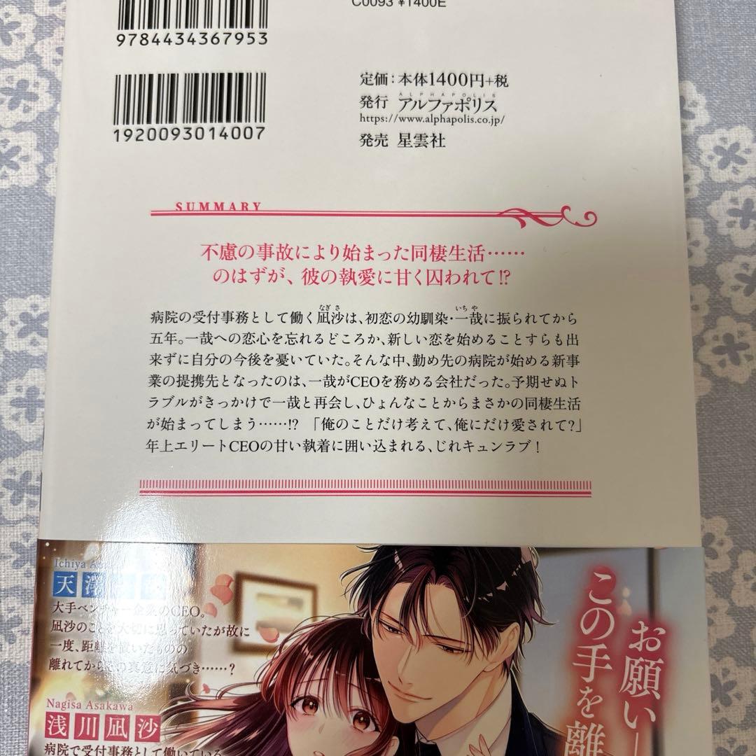 【専用】エタニティブックス・ルネッタブックス・ヴァニラ文庫　11月新刊