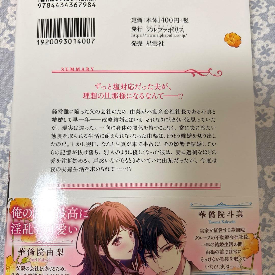 【専用】エタニティブックス・ルネッタブックス・ヴァニラ文庫　11月新刊