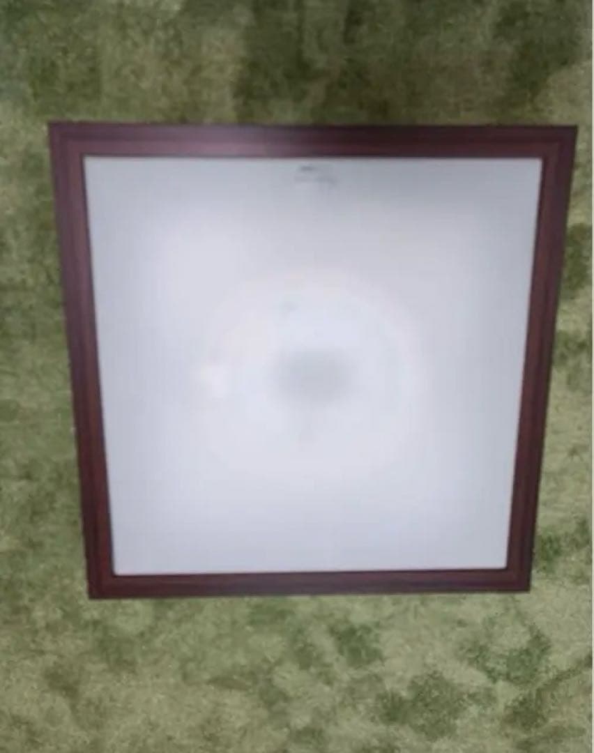 Panasonic、ムシベール、6〜10畳用、高拡散アクリルカバー