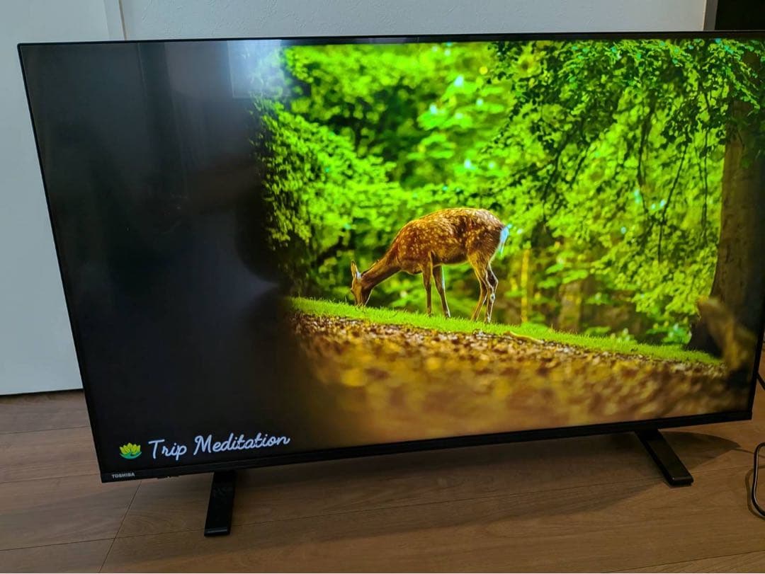 液晶テレビ REGZA レグザ 43c340x 43型 43 東芝