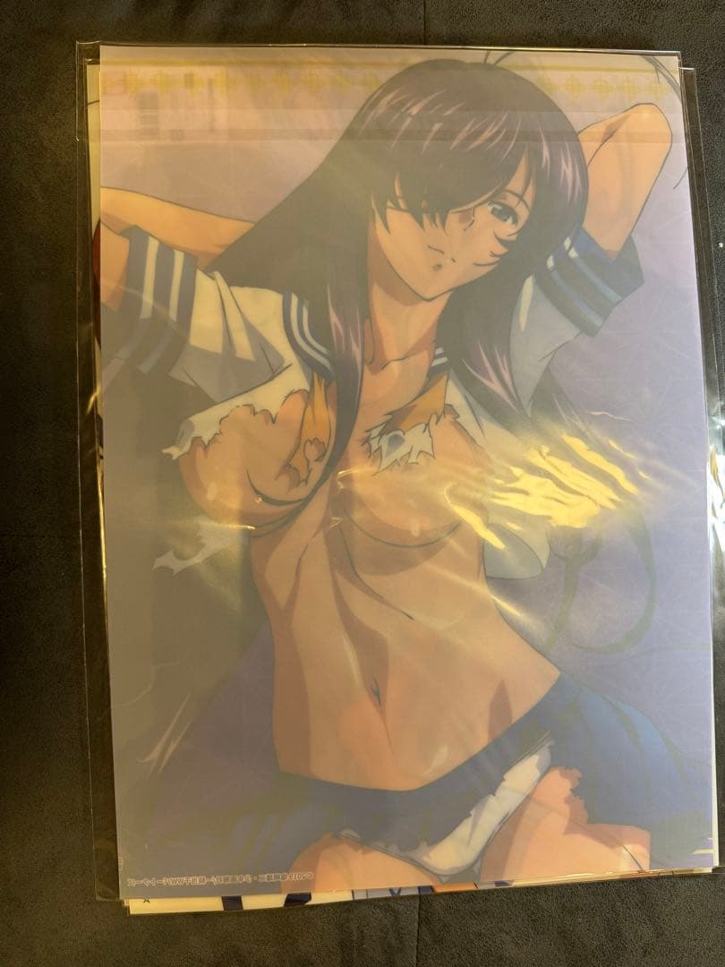 クリアポスター　DMMスクラッチ　一騎当千シリーズ　C賞　4枚セット