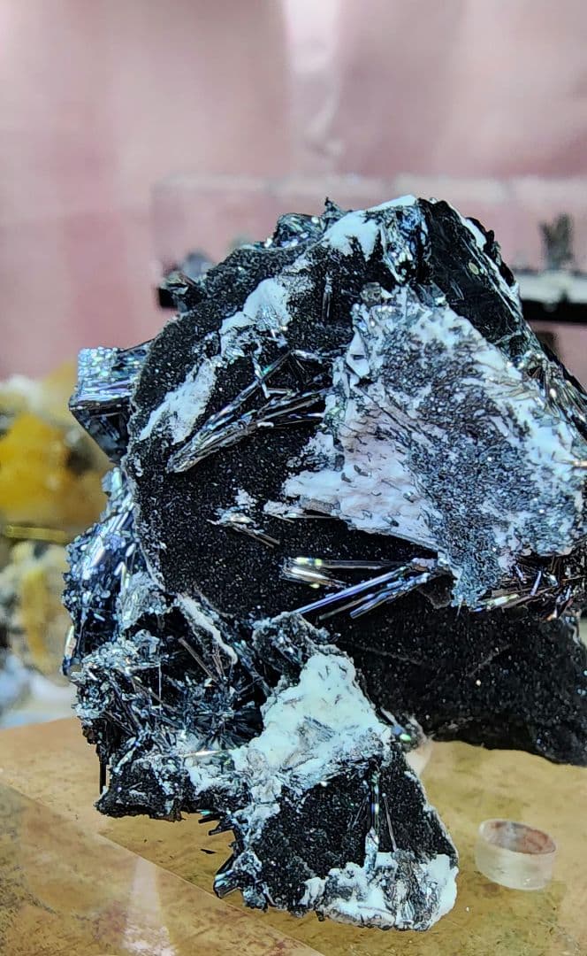 スティブナイト