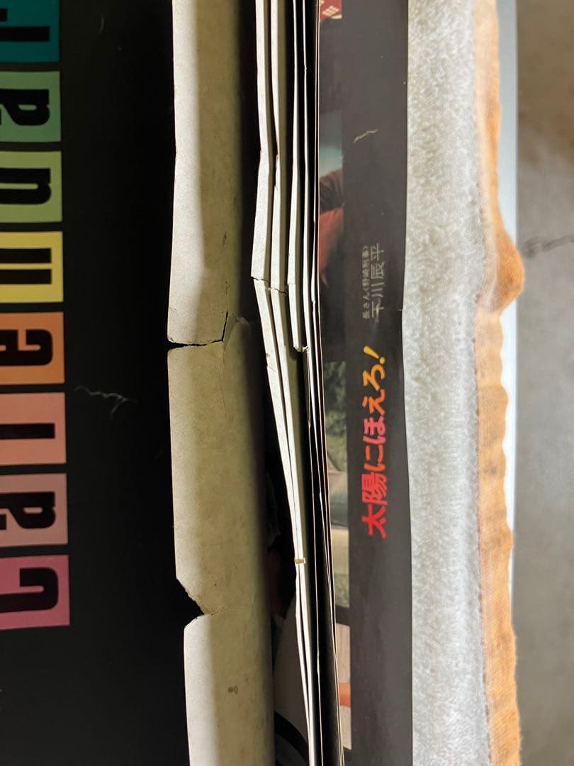 太陽にほえろ！日めくりカレンダー