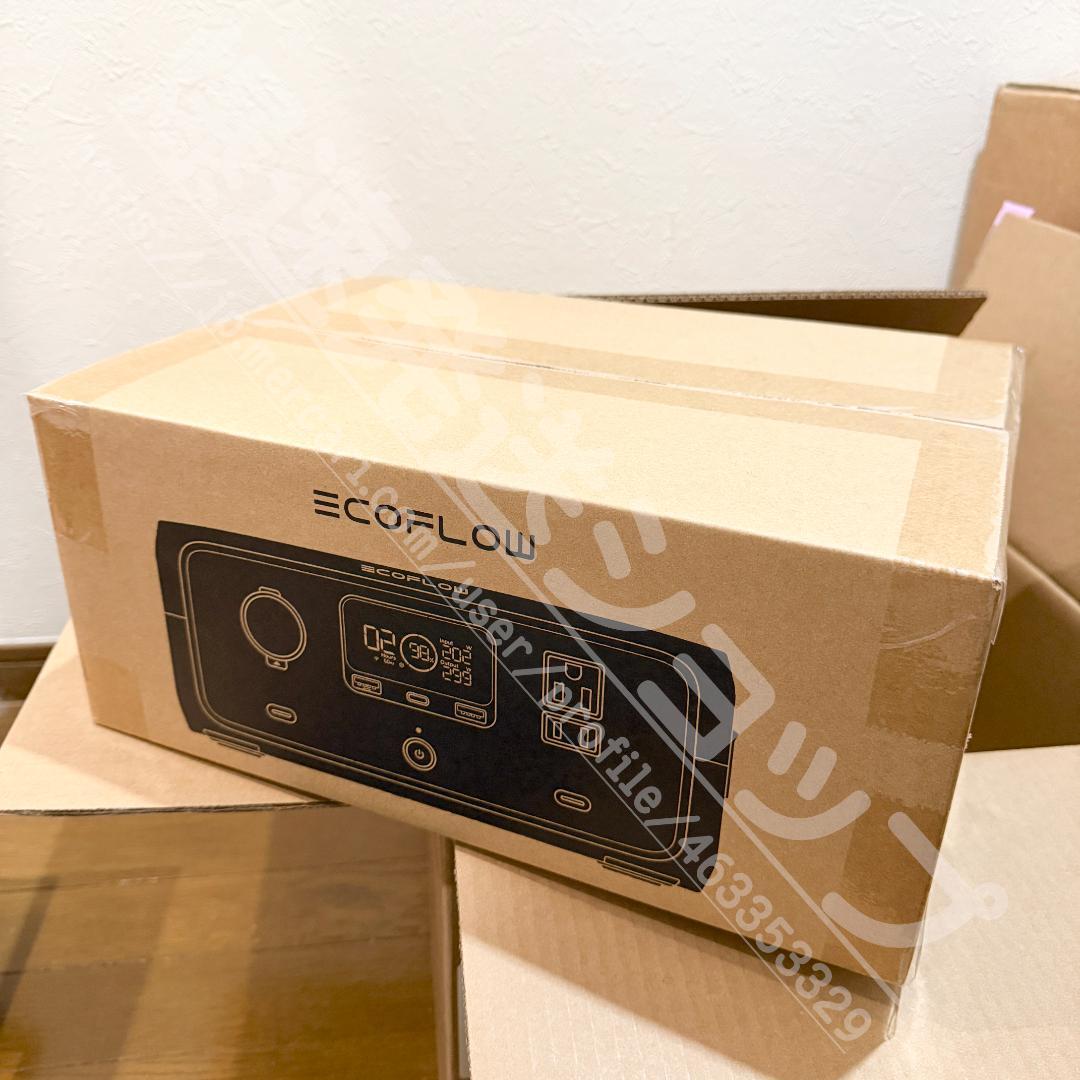 R*i様 EcoFlow Solar Generator  3 ソーラ