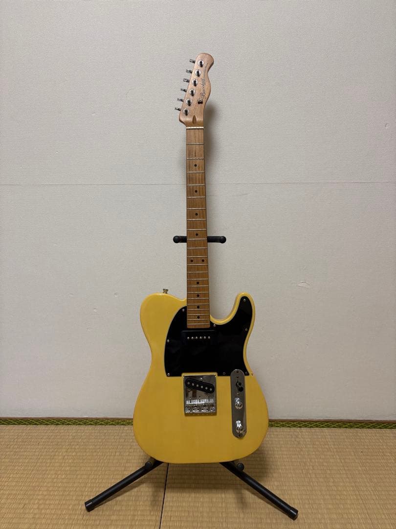 Bacchus テレキャスター ギターケース付き