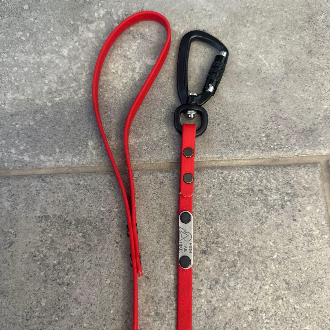 リード3点（赤、青、オレンジ）、TORACリード1点