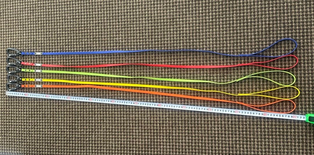 リード3点（赤、青、オレンジ）、TORACリード1点