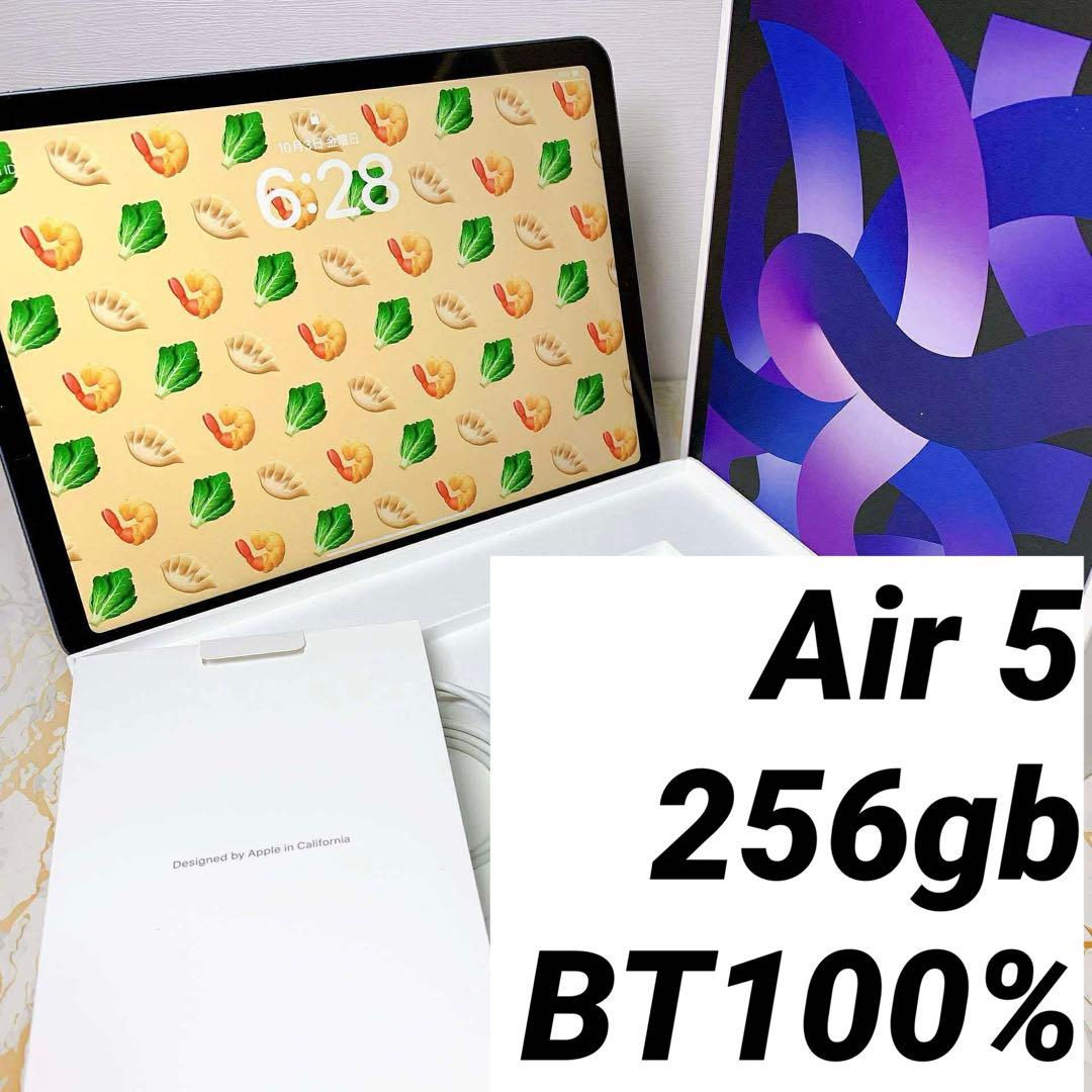 iPad Air 第5世代256GB BT100%