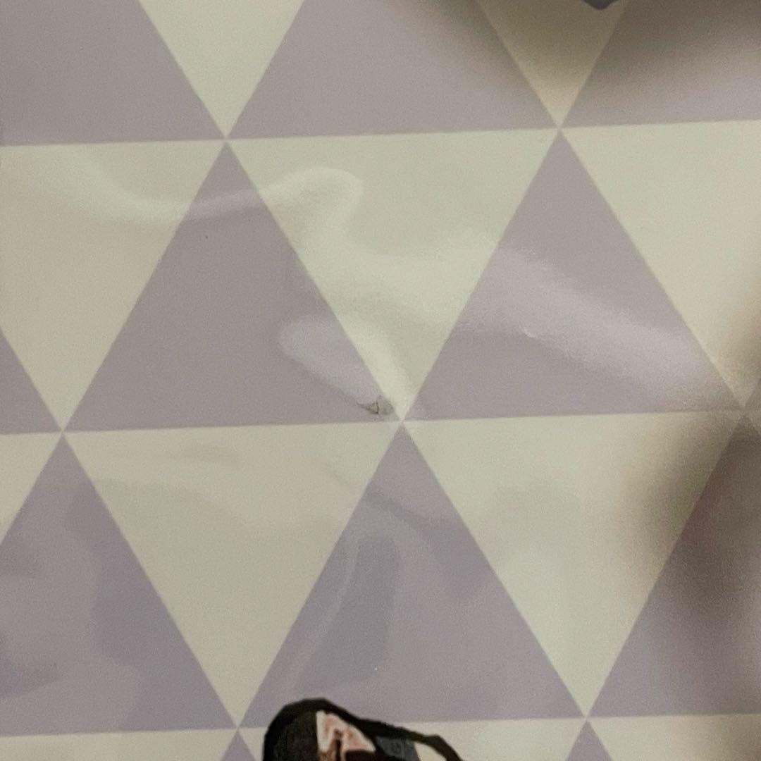 ビバレン ビバセカ アカシ パネル