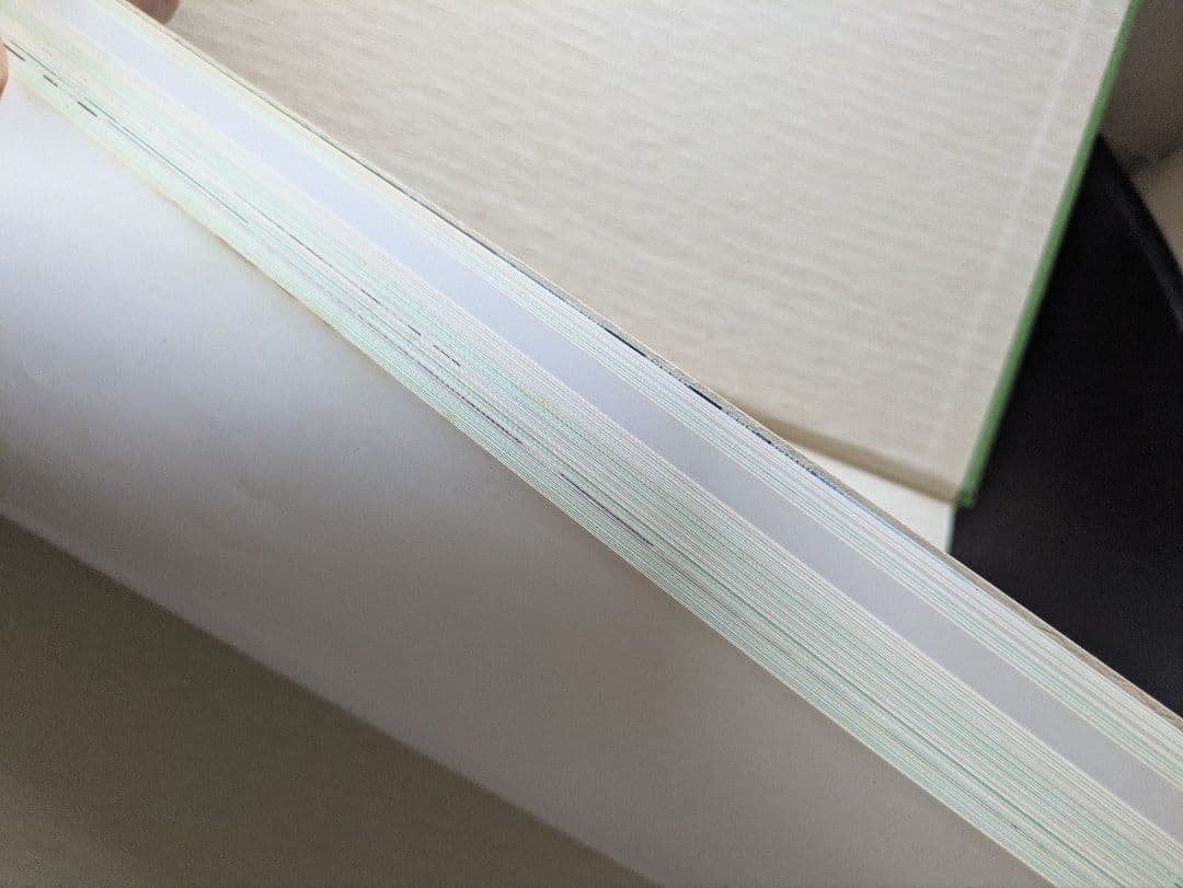 【貴重】水沢江刺駅　設置運動15年の歩み