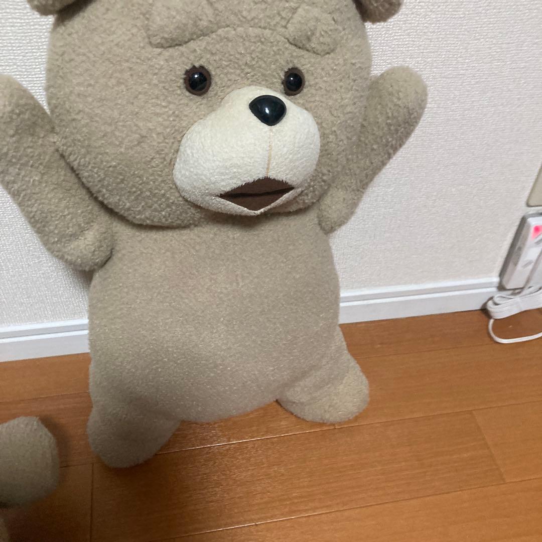 テッドぬいぐるみ(大)6体セット