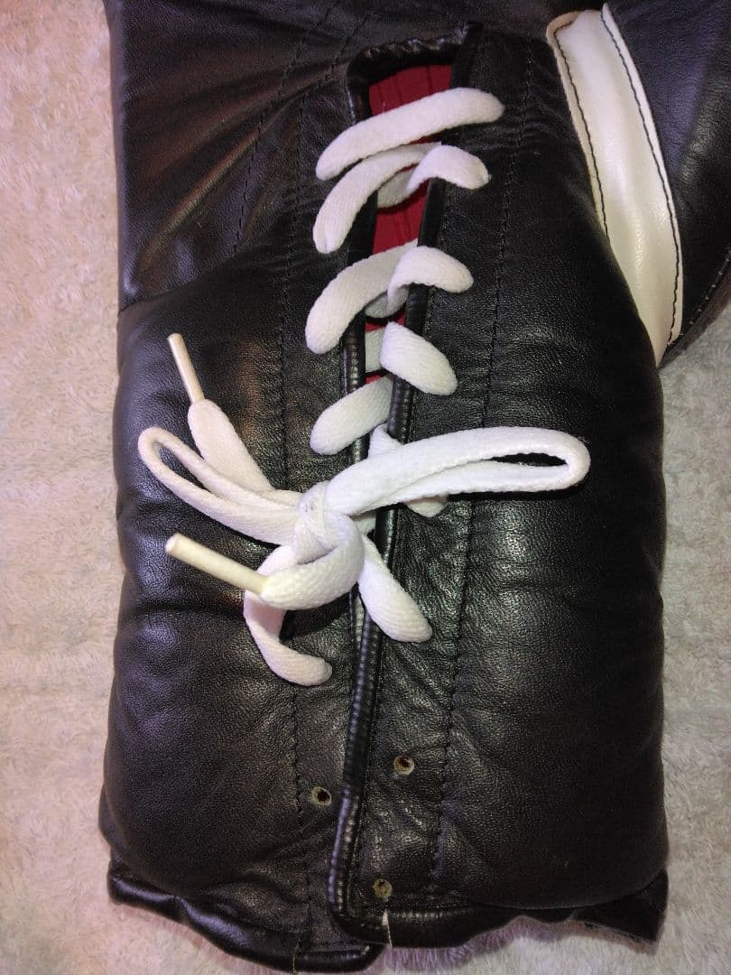 カサノバ、レイジェス　ボクシンググローブ