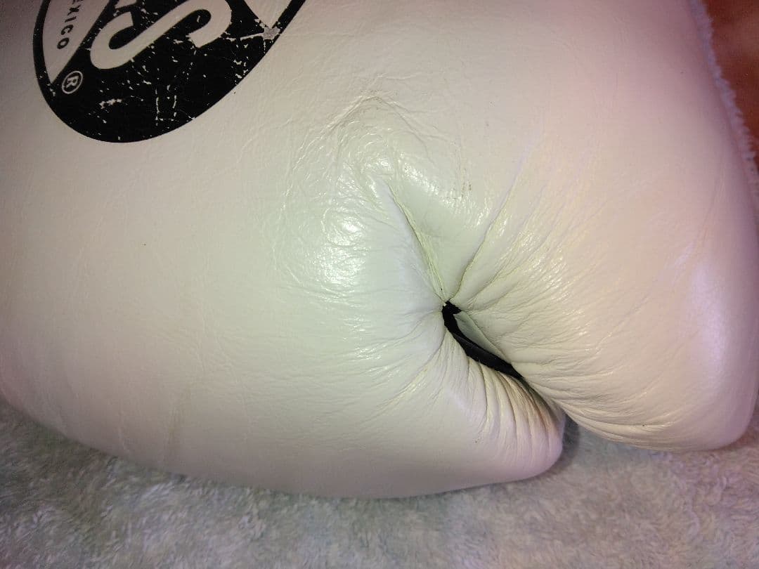 カサノバ、レイジェス　ボクシンググローブ