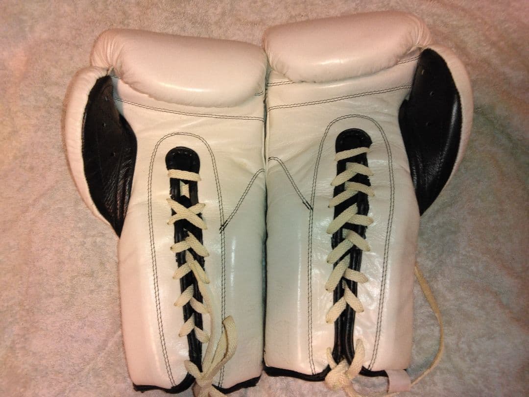 カサノバ、レイジェス　ボクシンググローブ