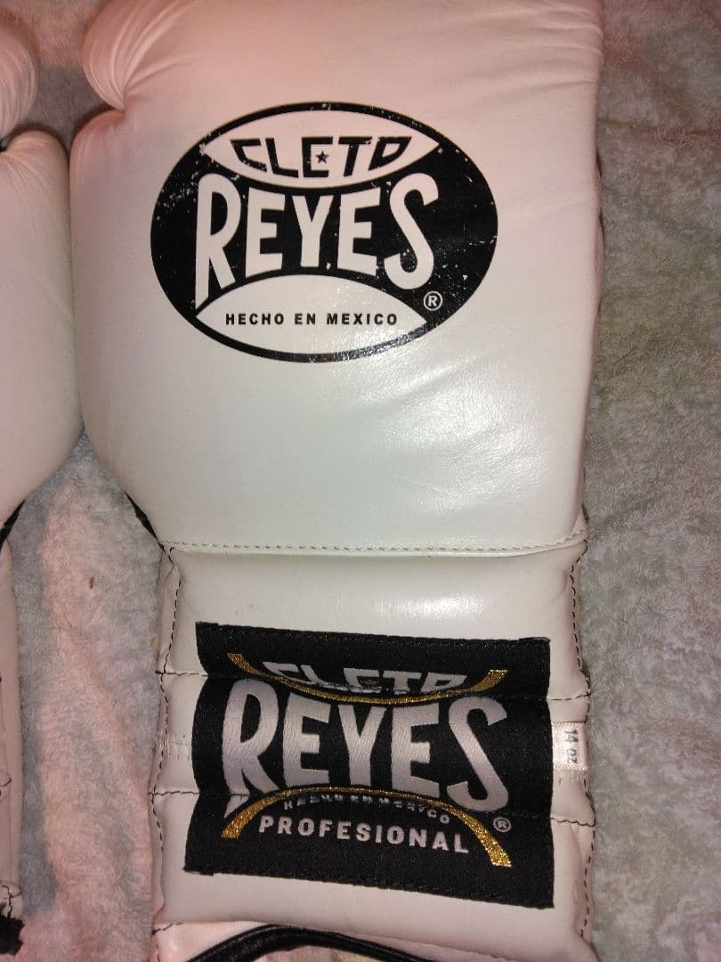 カサノバ、レイジェス　ボクシンググローブ