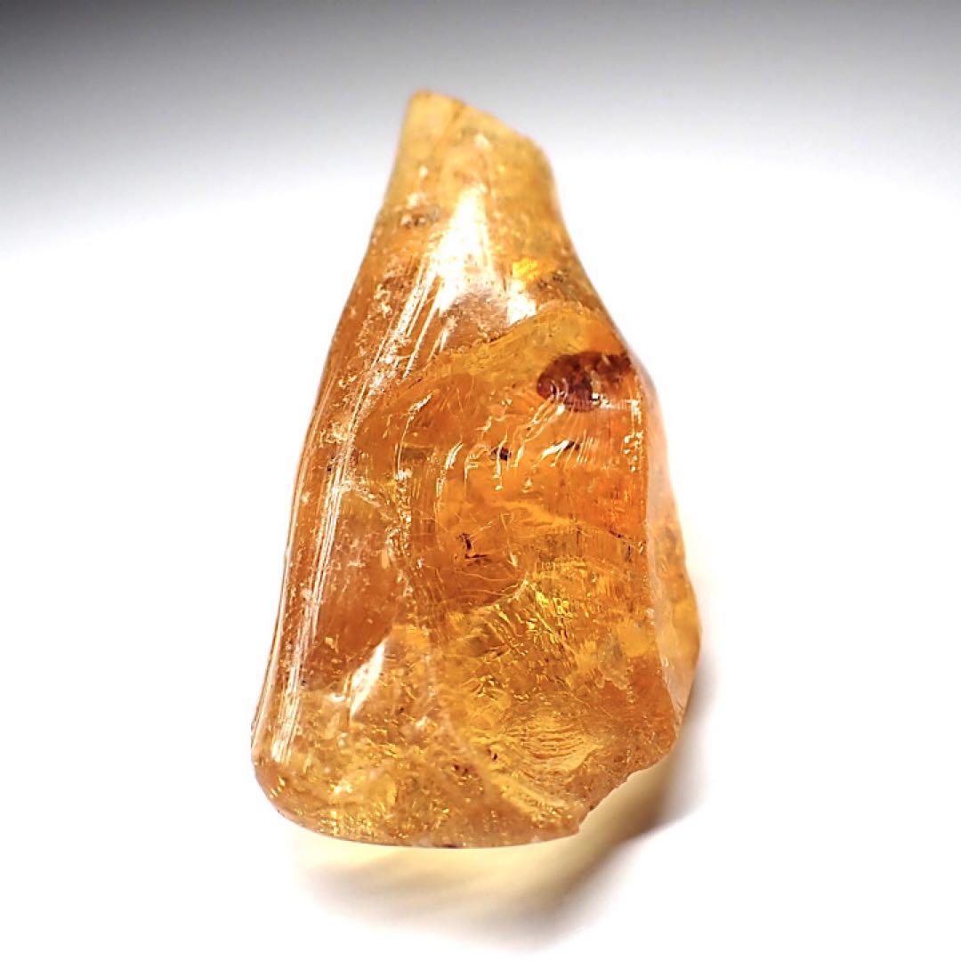 【オーストラリア産】ゴキブリ入り！天然琥珀(アンバー)