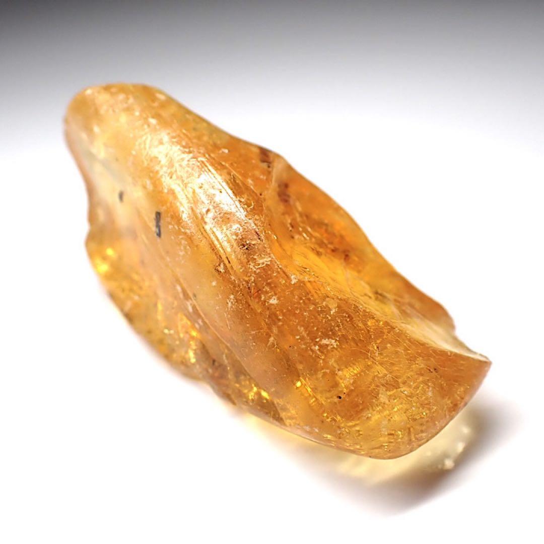 【オーストラリア産】ゴキブリ入り！天然琥珀(アンバー)