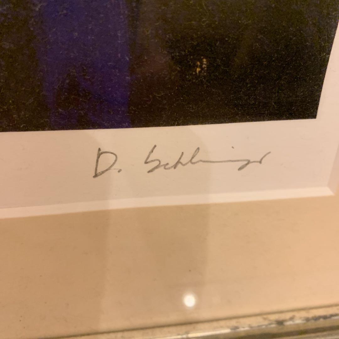 ダン・シュレシンジャー  版画  ハリーポッター