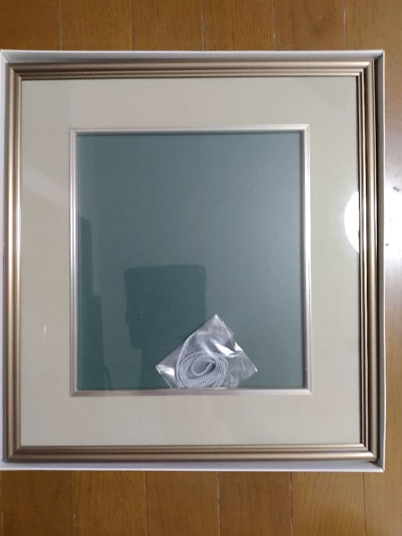 アルミ色紙額 10個セット