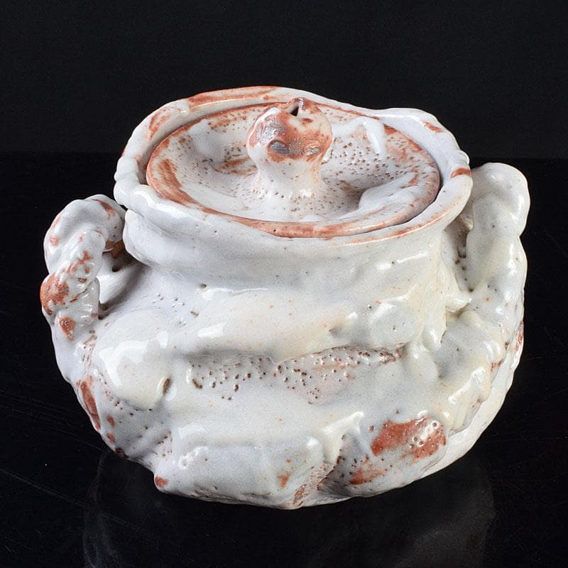 1080一無斎（一ム斎）作　志野水指　銘「知恵泉」　共箱　M　R9180H