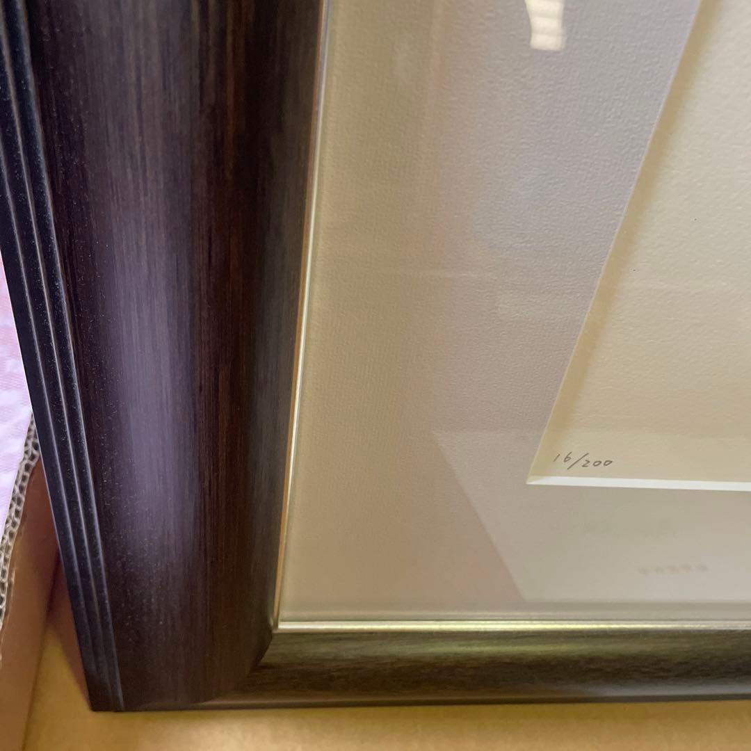 アールビバン 天野喜孝 『翔』 リトグラフ 菊地秀行 バンパイアハンター”D”