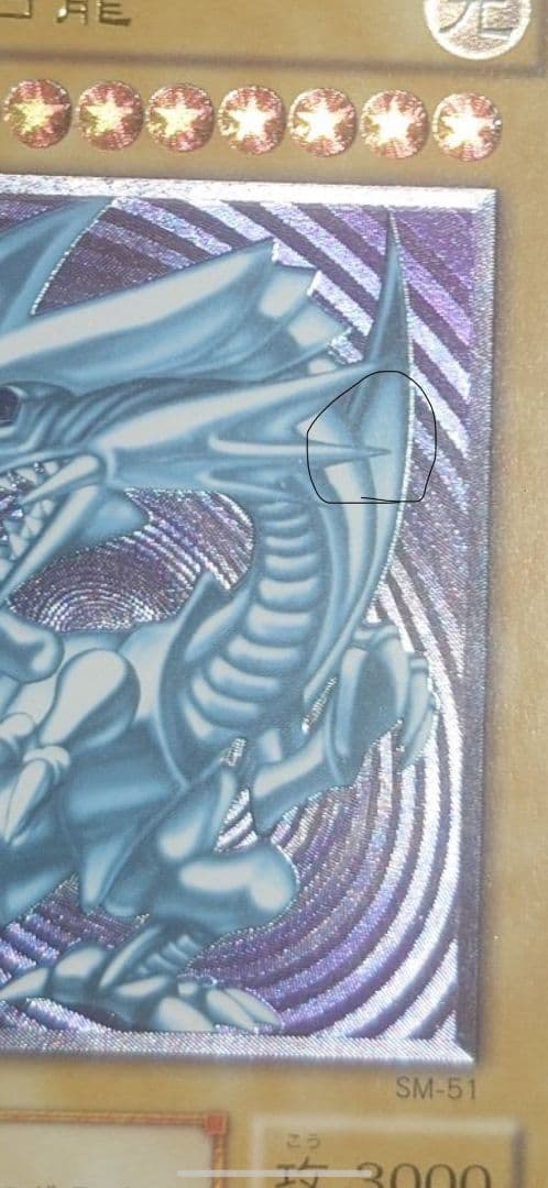 遊戯王 青眼の白龍 & 真紅眼の黒竜セット