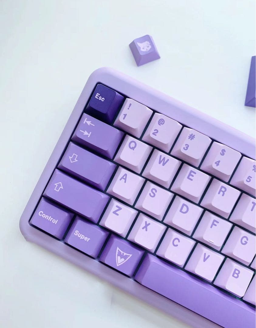 xr60 紫 赤軸　LEDバックライト