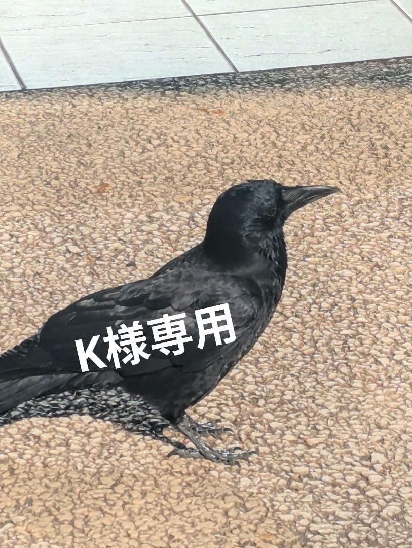 その他 K