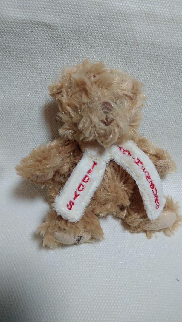 Teddys Rothenburg テディベア　BUkOWSKi ぬいぐるみ