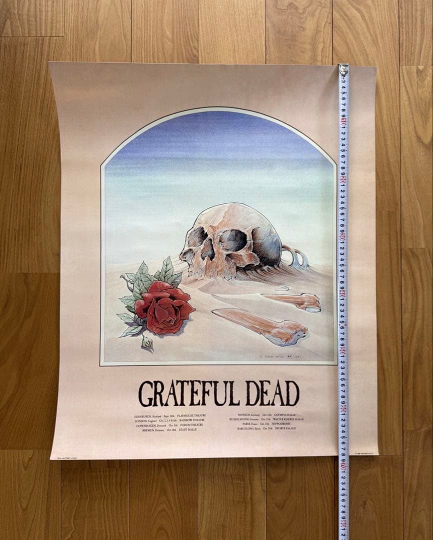 コレクション Grateful Dead 1981 European Tour Poster