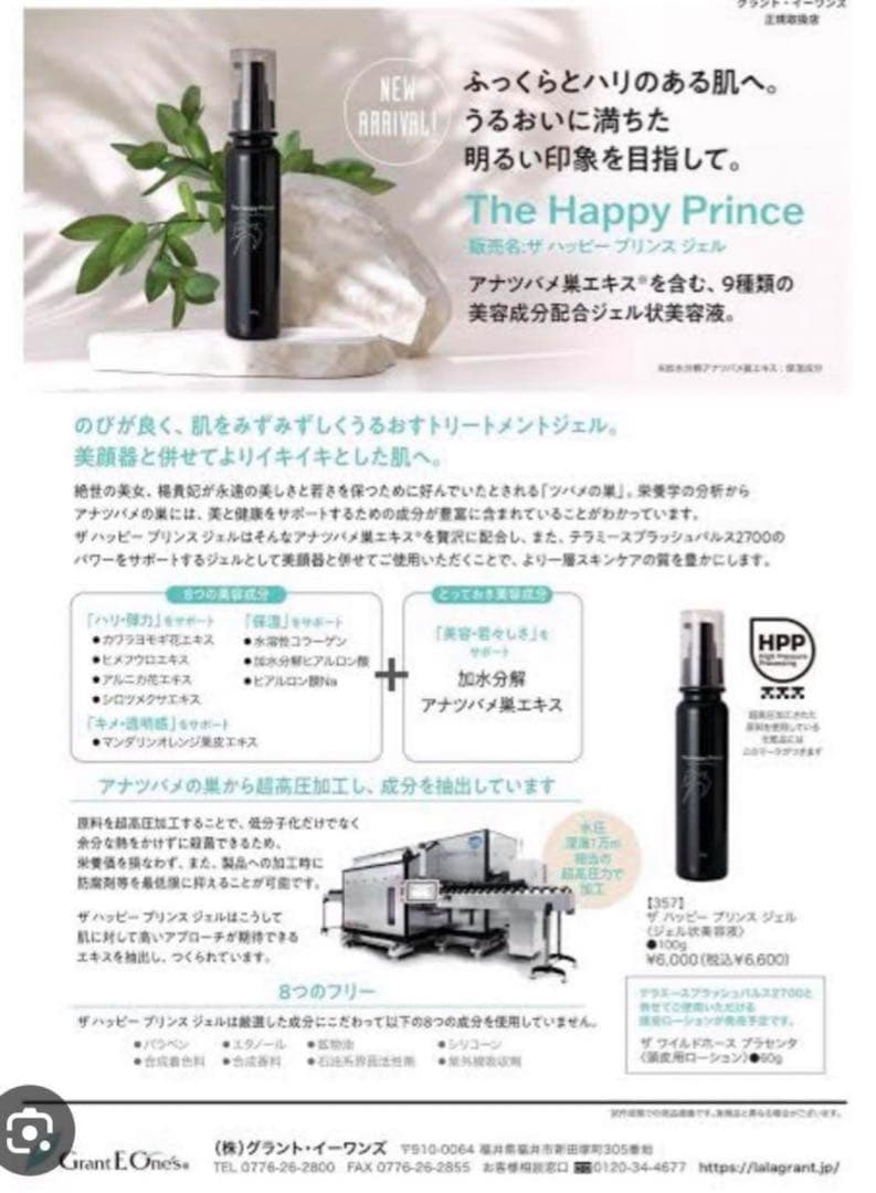 【新品】184000円グラントイーワンズ美顔器テラミースプラッシュパルス2700