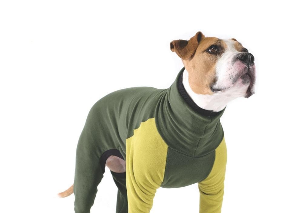 ダリア　モスグリーン2点