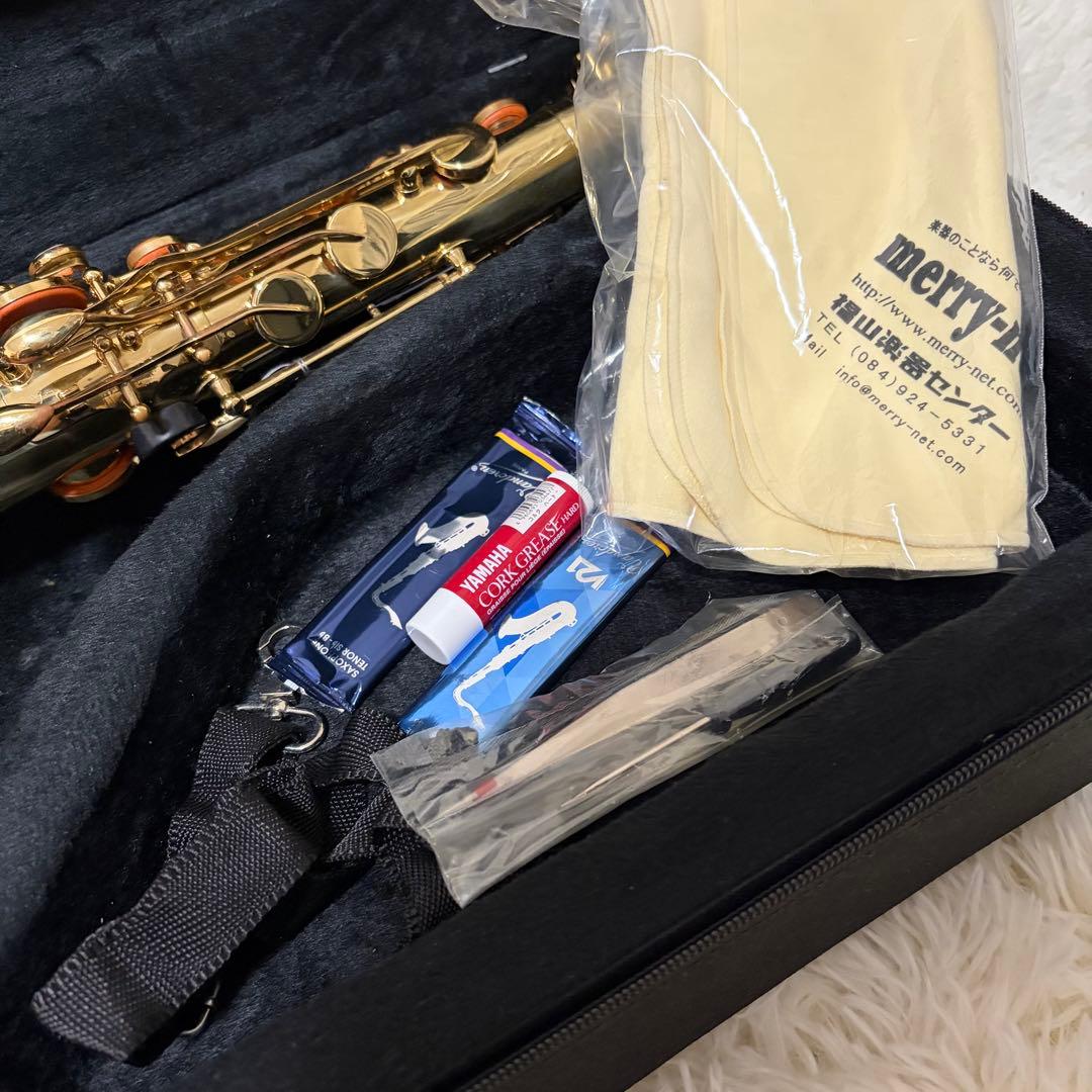 【美品】Kaerntner ケルントナー アルトサックス ケース付き 付属品多数