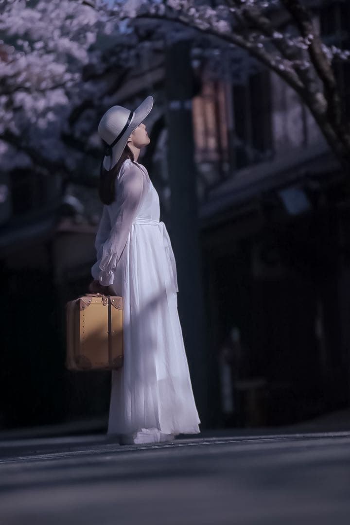 SIGMA EX 70-200mm F2.8 HSM ズームレンズ