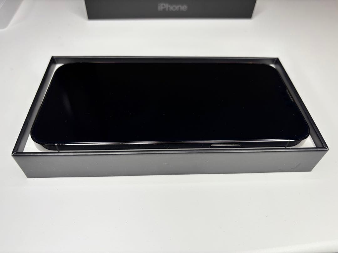 Apple iPhone 13 Pro グラファイト