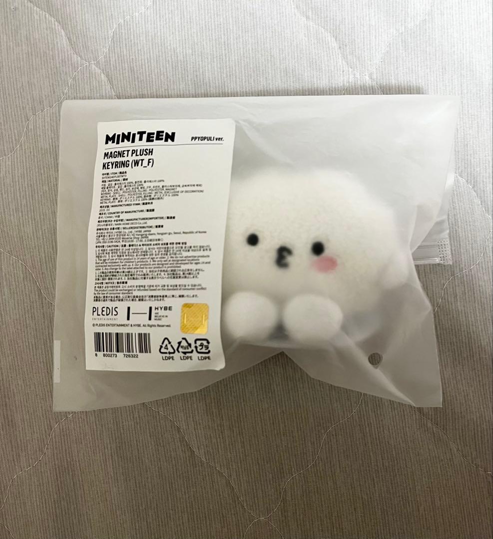 seventeen miniteen ウジ マグネットキーリング